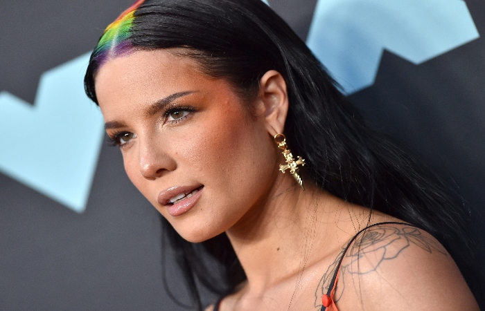 Halsey revealed the challenges she faced in the industry while being pregnant