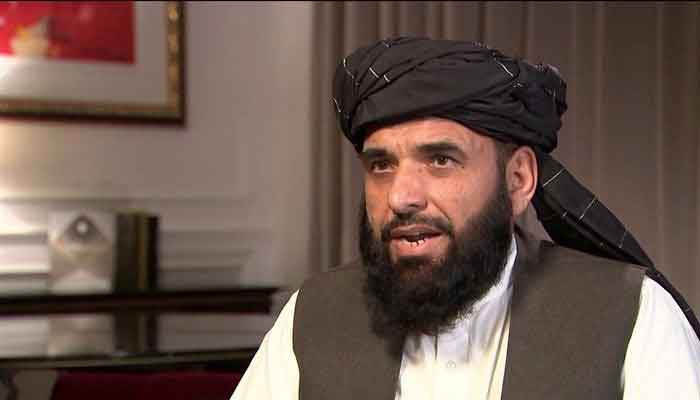 Talibans spokesperson Suhail Shaheen. Photo: File