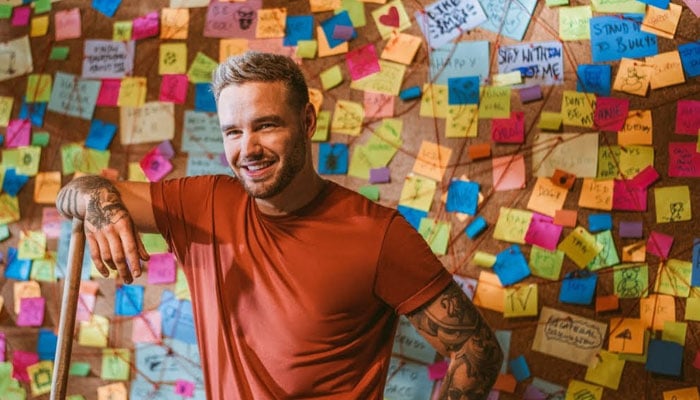 Liam Payne finally drops new ‘Sunshine’ MV