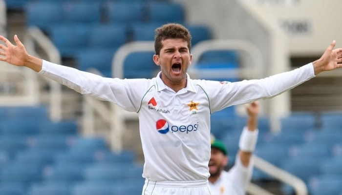 Pakistan fast bowler Shaheen Afridi celebrates after taking a wicket. Photo: AFP