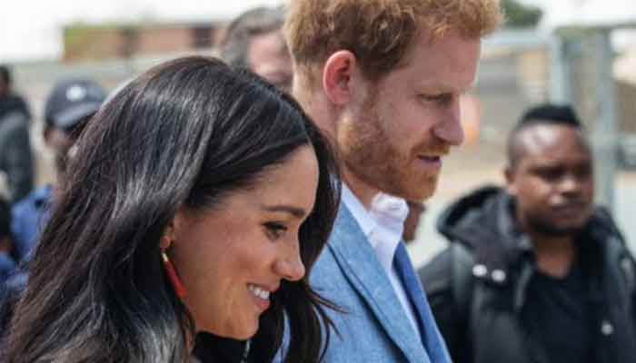 Author of book on Meghan Markle and Harry criticised for prejudiced comments