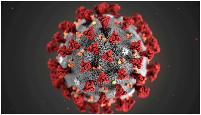 The ultrastructural morphology exhibited by the 2019 Novel Coronavirus (2019-nCoV) is seen in an illustration released by the Centers for Disease Control and Prevention (CDC) in Atlanta, Georgia, U.S. January 29, 2020. Alissa Eckert, MS; Dan Higgins, MAM/CDC/Handout via REUTERS./File Photo