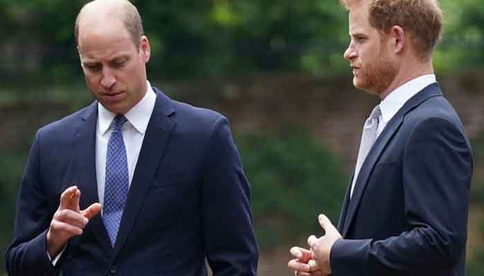 Prince William takes lead on Harry with his Afghanistan heroics