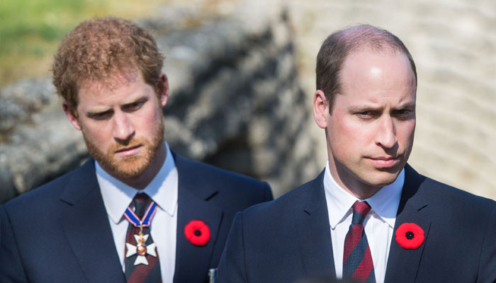 Prince Harry is all talk, says royal expert as she praises William for helping Afghan family