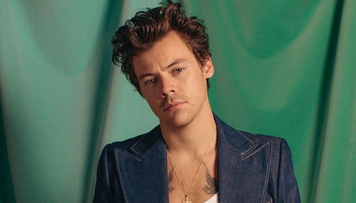 Watch: Insiders gush over Harry Styles’ Las Vegas concert