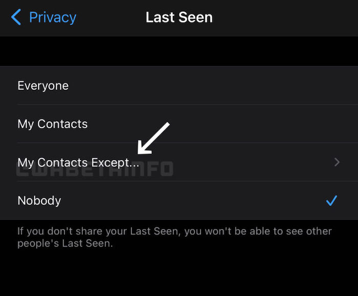 A screenshot of what WhatsApps new update to privacy settings will look like on WhatsApp for iOS. Photo: Courtesy WABetaInfo