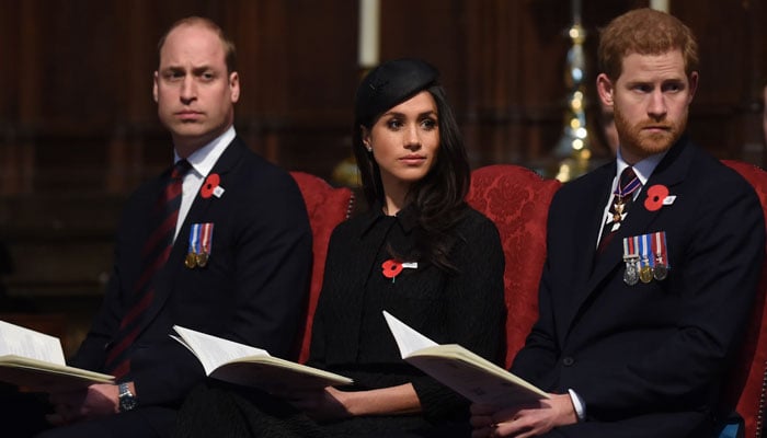 Prince William’s words that made Prince Harry go ‘ballistic’: report