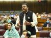 Proposals on PMDA will be amended if not accepted: Fawad Chaudhry