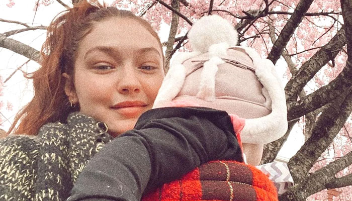 Gigi’s father Mohamed Hadid shared some photos from Khais first birthday