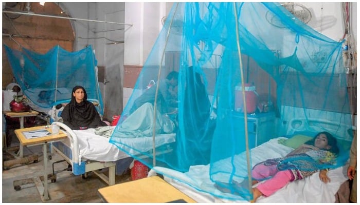 A file photo of a dengue ward at a public hospital in Pakistan. Photo:AFP