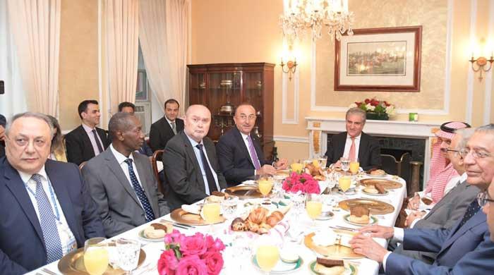 OIC calls upon world to note compelling evidence in Pakistan dossier of India's heinous crimes