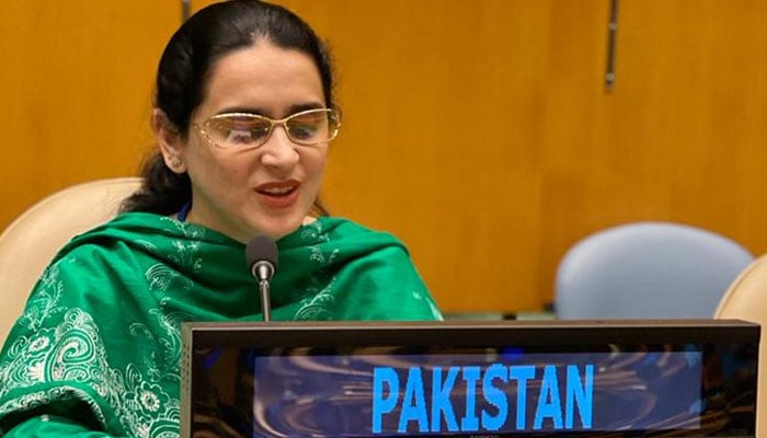 Pakistan’s visually impaired diplomat Saima Saleem speaking in the UNGA.