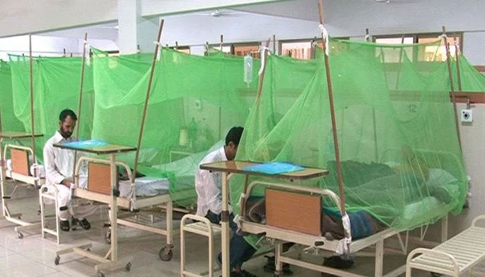 So far this year, 1,126 confirmed cases of dengue have been reported from across Punjab. Photo: Geo.tv/ file