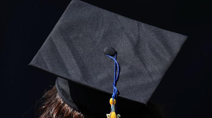 24% educated Pakistanis unemployed, Senate body informed