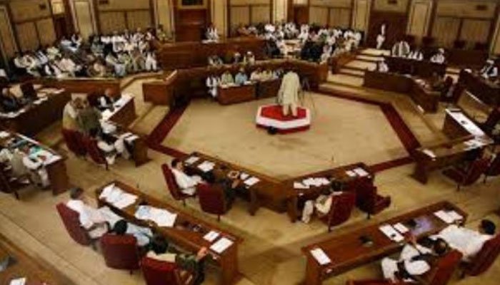 A file photo of the Balochistan Assembly in session.