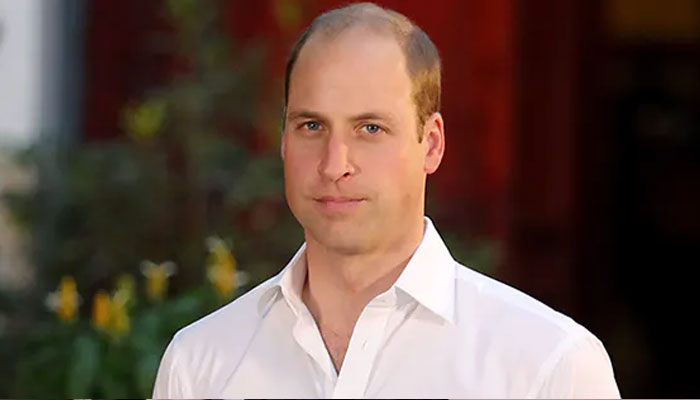 Prince William taught by MI6’s lifestyle by the ‘finest’: report