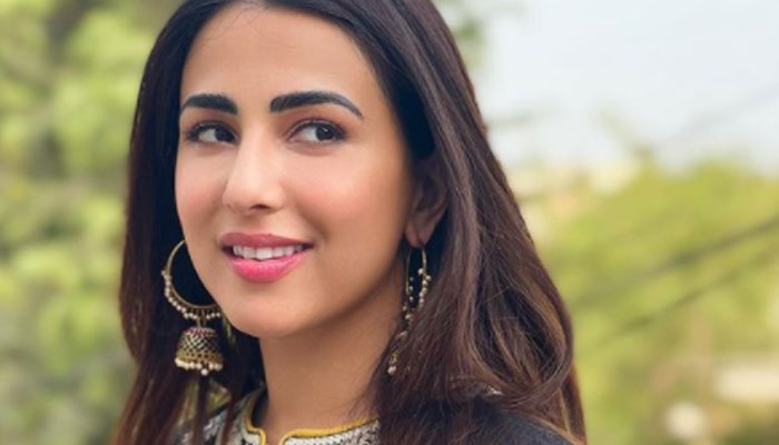 Ushna Shah calls out production of Heeramandi: what historical film will Pakistan make?