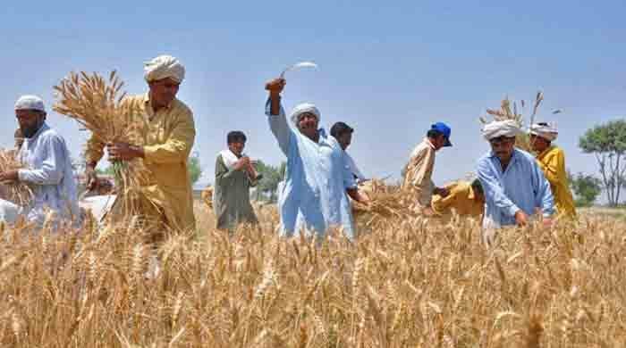 Protecting Pakistan’s agriculture sector