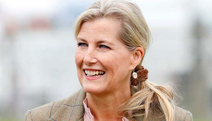 Sophie Wessex was part of a roundtable discussion to support the ‘Menopaused Workplace Pledge’