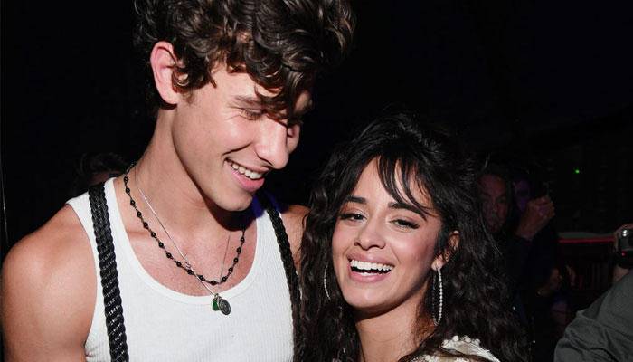 Camila Cabello opened up about how relationships can get affected through social media