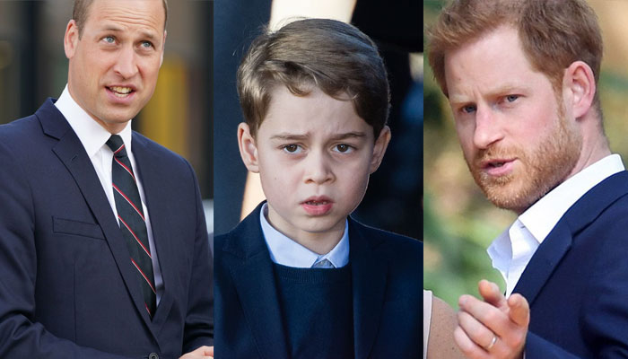 Prince George ‘suffering the most’ from Prince Harry, William rift: report