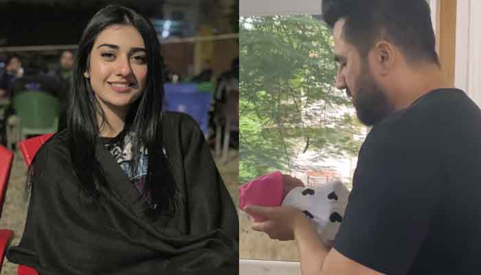 Sarah Khan shares video of her daughter