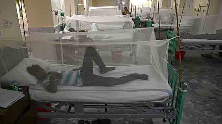 Dengue threat: Punjab establishes field hospital at Lahore's Expo Center - Vimarsana News