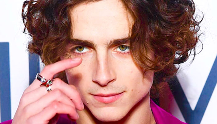 Timothee Chalamet shares snaps teasing upcoming film Wonka