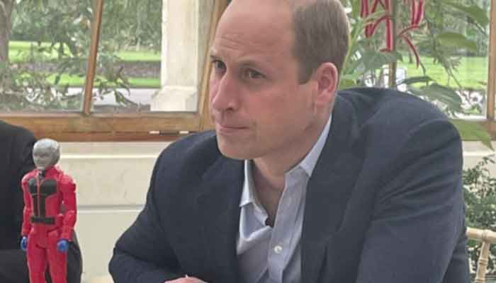 Why Prince William had Ant-Man with him during latest royal activity?