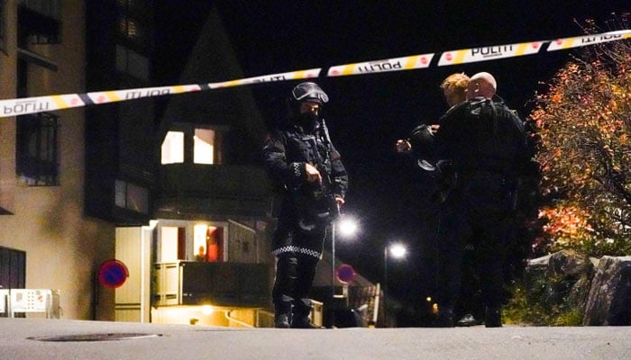 Five killed, two wounded in Norway bow-and-arrow attack: police