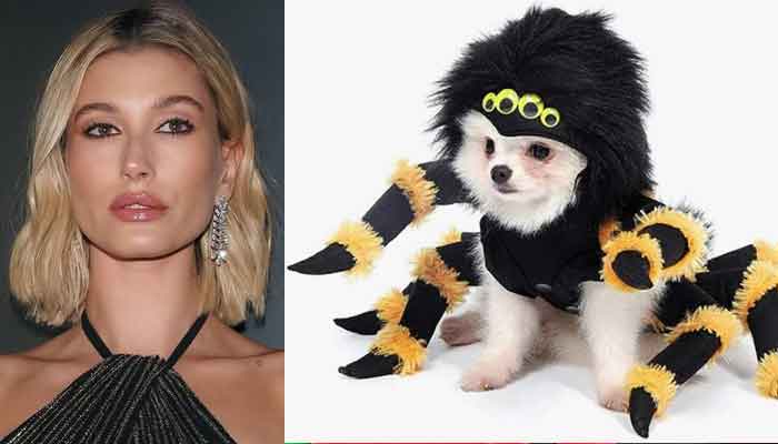 Hailey Bieber shares cutest photo of her dog wearing a huge spider costume