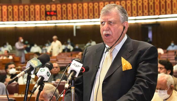 Shaukat Tarin addresses a National Assembly session. Photo:AFP/File