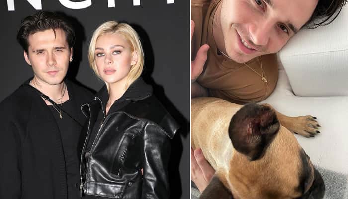 Brooklyn Beckham, Nicola Peltz shattered over loss of beloved pet dog