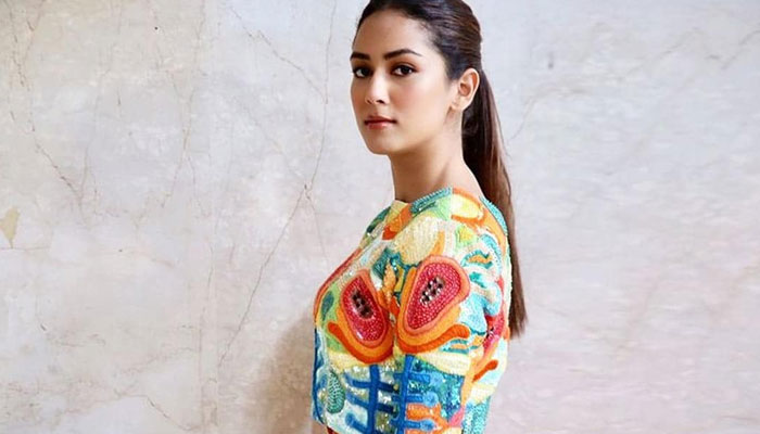 Mira Rajput shares her ‘beach bum’ picture from Maldives vacation