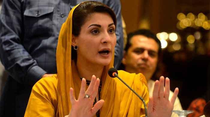 'Feeding dogs high-quality meat': Maryam slams PM's idea of welfare state