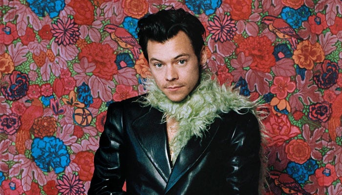 Harry Styles has now joined the Marvel Cinematic Universe (MCU) as Eros, brother of Thanos