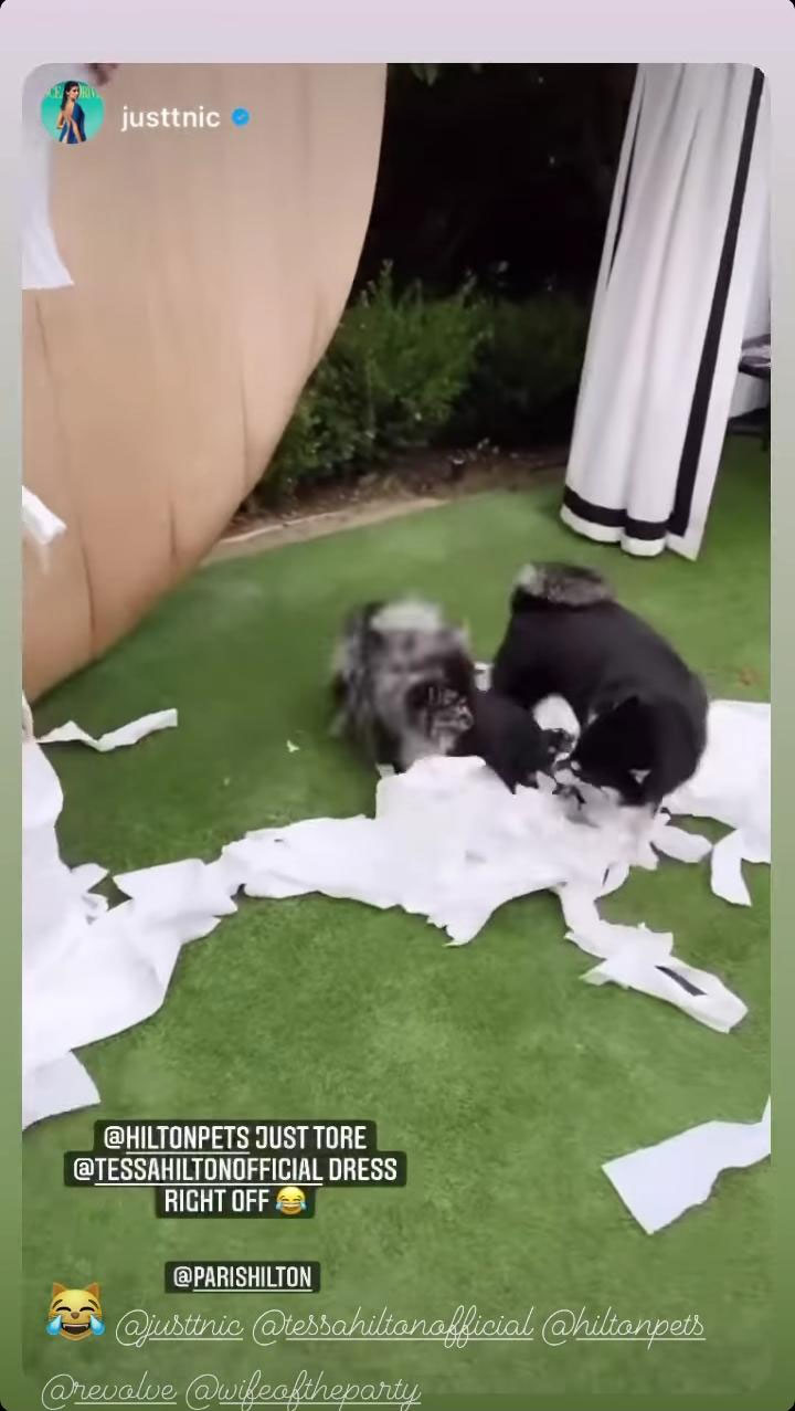 Paris Hilton creates tissue paper wedding dress in chic backyard brunch