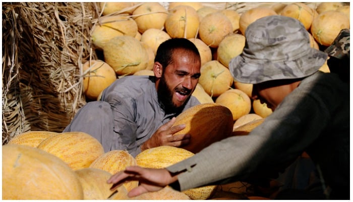 Afghan vendors unload melons for sell at a market in Kabul, Afghanistan July 22, 2020. (Reuters)