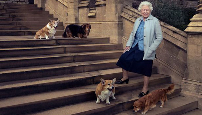 Queen cannot walk beloved corgis over health precaution