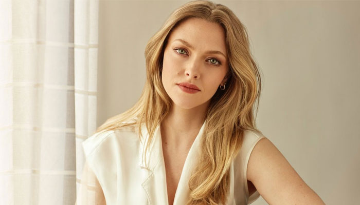 Amanda Seyfried spoke about the difficulties mothers face in receiving help after childbirth