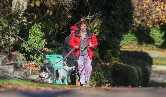 Ireland Baldwin snapped walking dogs after being slammed over Halloween costume - Vimarsana News