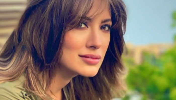 Mehwsih Hayat is tired of playing wronged wife, crying bahu on television