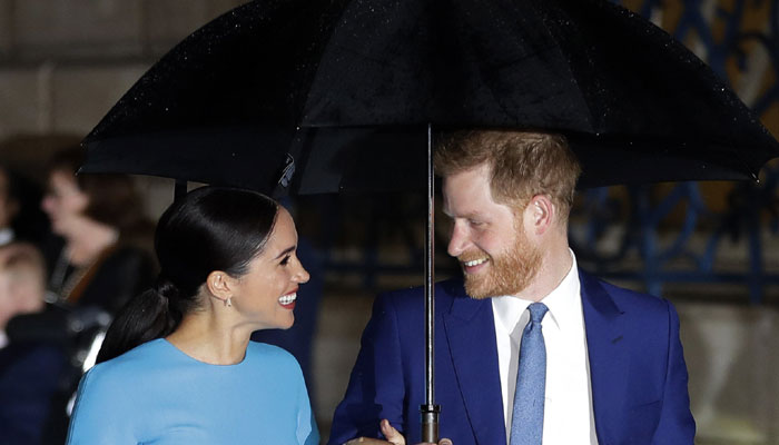Prince Harry, Meghan Markle called out over Sussex sale strategy: ‘Less is more’