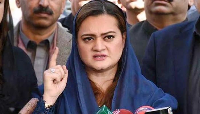PML-N Information Secretary Marriyum Aurangzeb. Photo: Geo.tv/ file