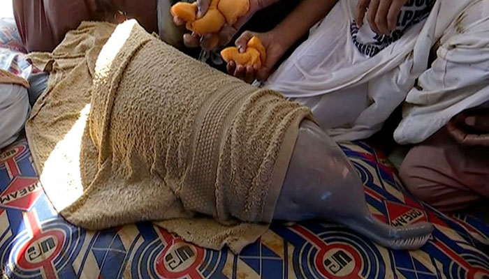 Rescuers pour water over an Indus dolphin inside an ambulance in this still image from a video in Larkana, Pakistan October 30, 2021. Reuters/File