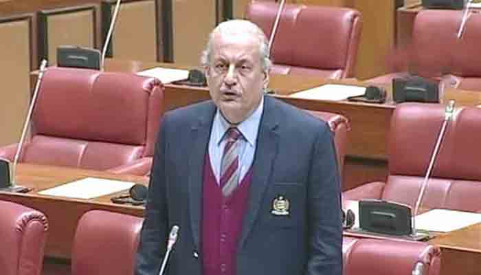 Negosiasi dengan mandat TTP Parlemen: Senator Raza Rabbani