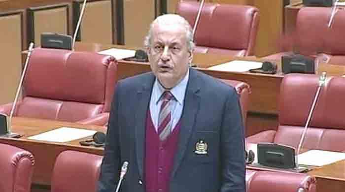 Negotiations with TTP mandate of Parliament: Senator Raza Rabbani