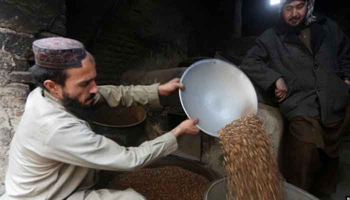 Seorang pria Afghanistan menyiapkan kacang pinus untuk dijual di tokonya di Kabul.  Foto: Reuters