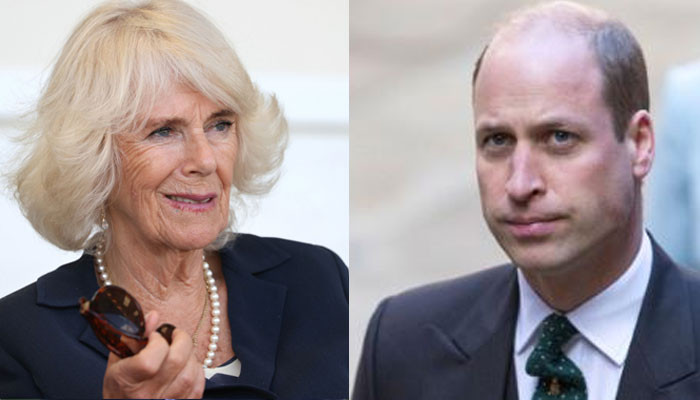 Pangeran William ‘akan menyalahkan’ Duchess Camilla atas ‘luka yang dia sebabkan’: lapor
