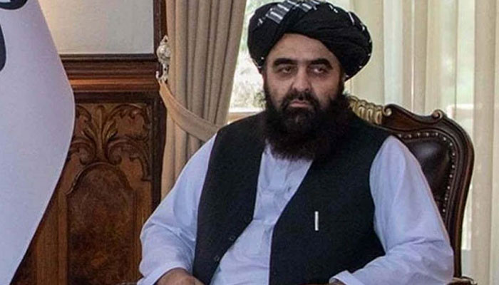 Kabul menengahi antara pemerintah Pakistan dan melarang TTP, kata Muttaqi